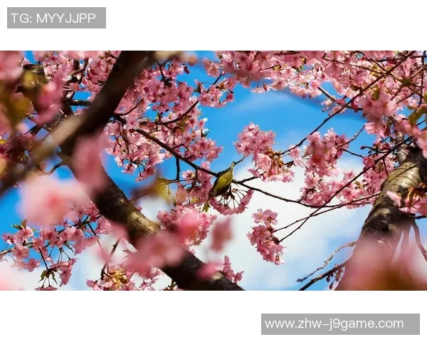 鸟夕砂岩与大阪樱花的精彩对决谁能笑到最后